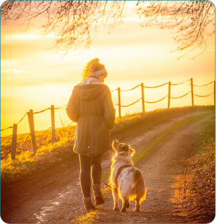 Animal-Assisted Therapy